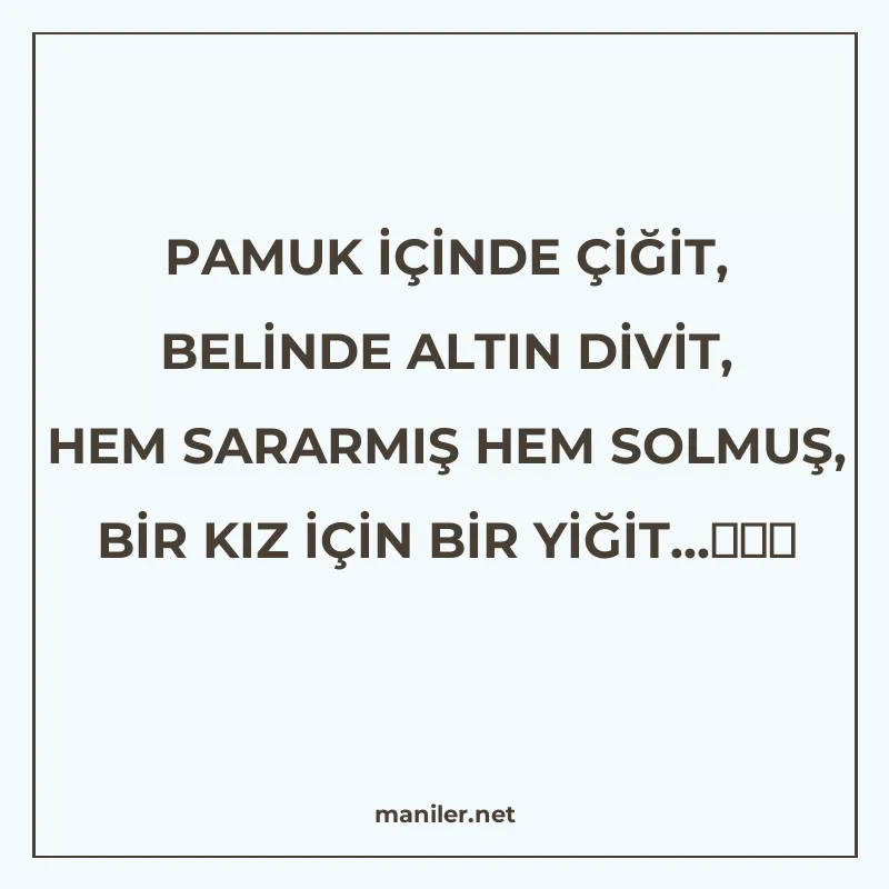 PAMUK İÇİNDE ÇİĞİT, BELİNDE ALTIN DİVİT, HEM SARARMIŞ HEM SO manisi görseli
