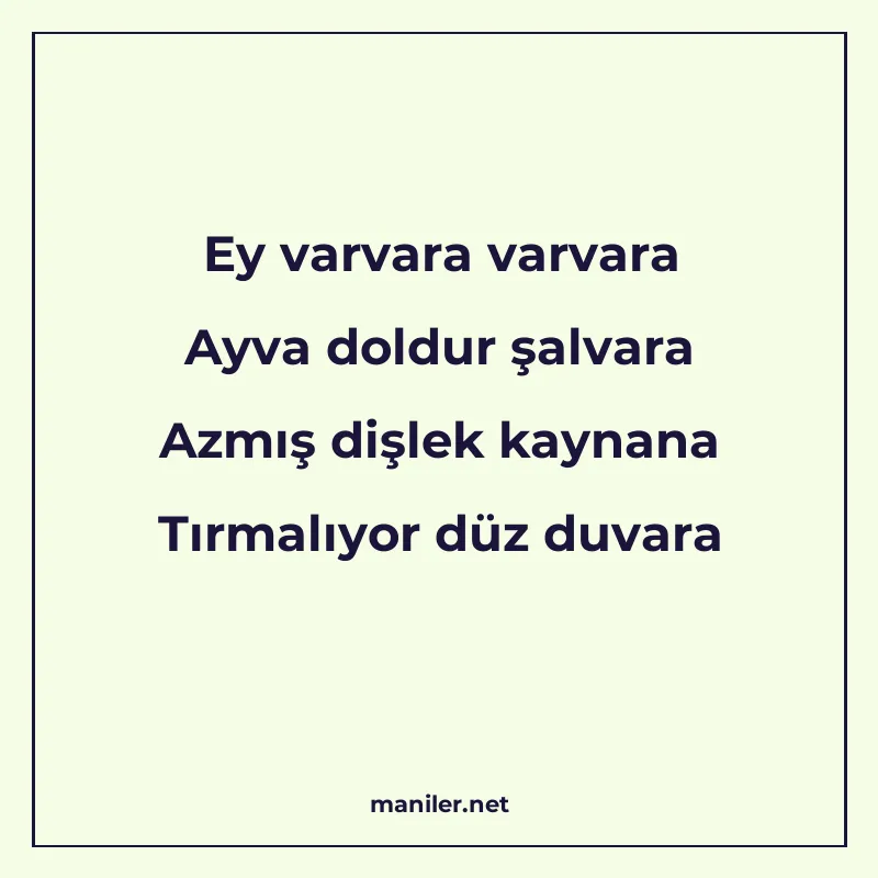 Ey varvara varvara Ayva doldur şalvara Azmış dişlek kaynana manisi görseli