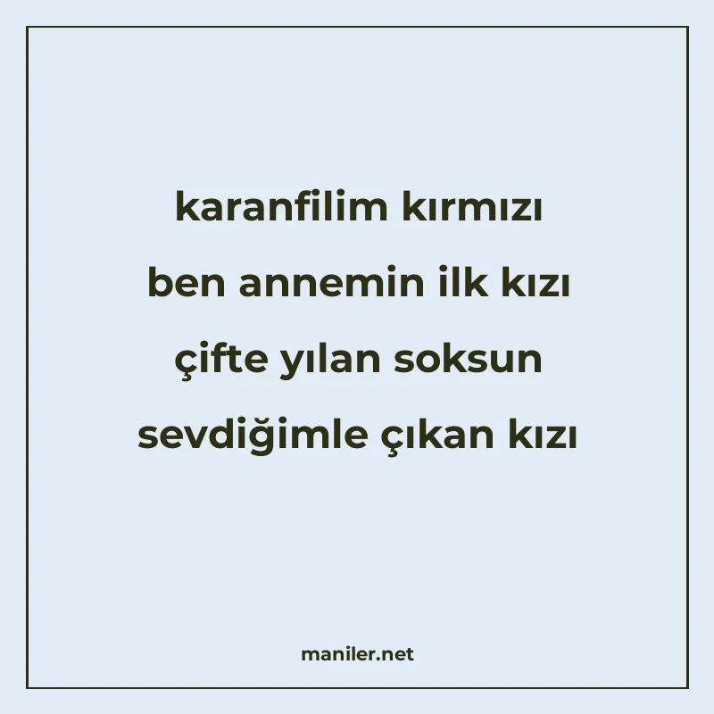 karanfilim kırmızı ben annemin ilk kızı çifte yılan soksun s manisi görseli