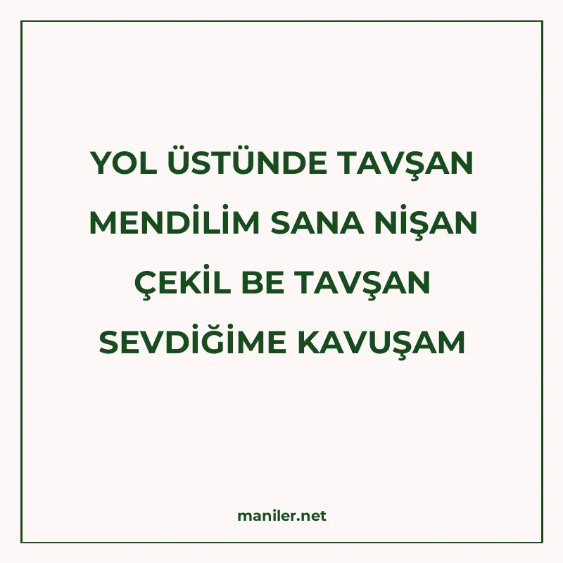 YOL ÜSTÜNDE TAVŞAN MENDİLİM SANA NİŞAN ÇEKİL BE TAVŞAN SEVDİ manisi görseli