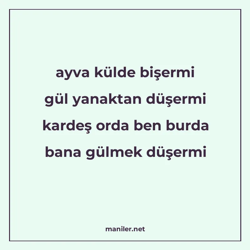 ayva külde bişermi gül yanaktan düşermi kardeş orda ben burd manisi görseli