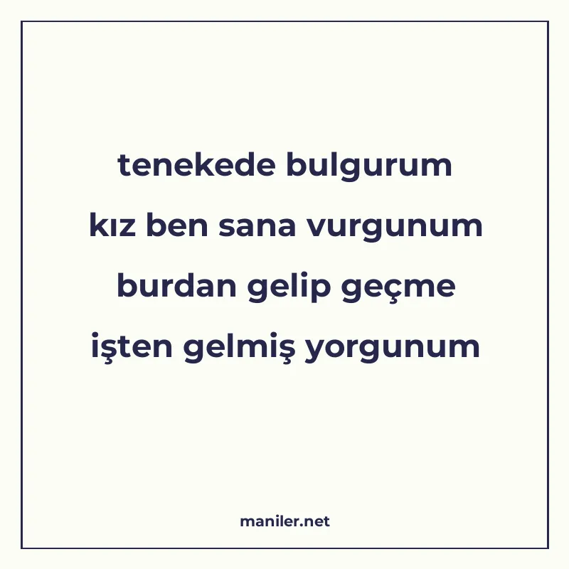 tenekede bulgurum kız ben sana vurgunum burdan gelip geçme i manisi görseli