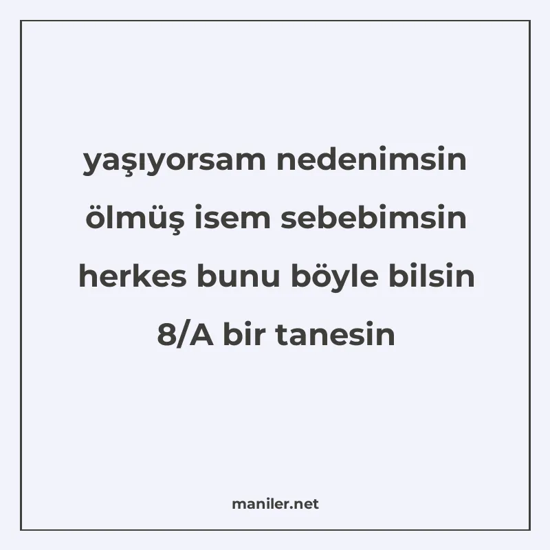 yaşıyorsam nedenimsin ölmüş isem sebebimsin herkes bunu böyl manisi görseli