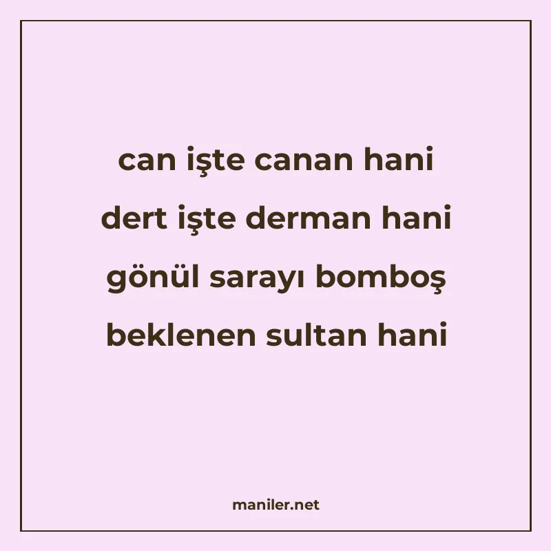 can işte canan hani dert işte derman hani gönül sarayı bombo manisi görseli