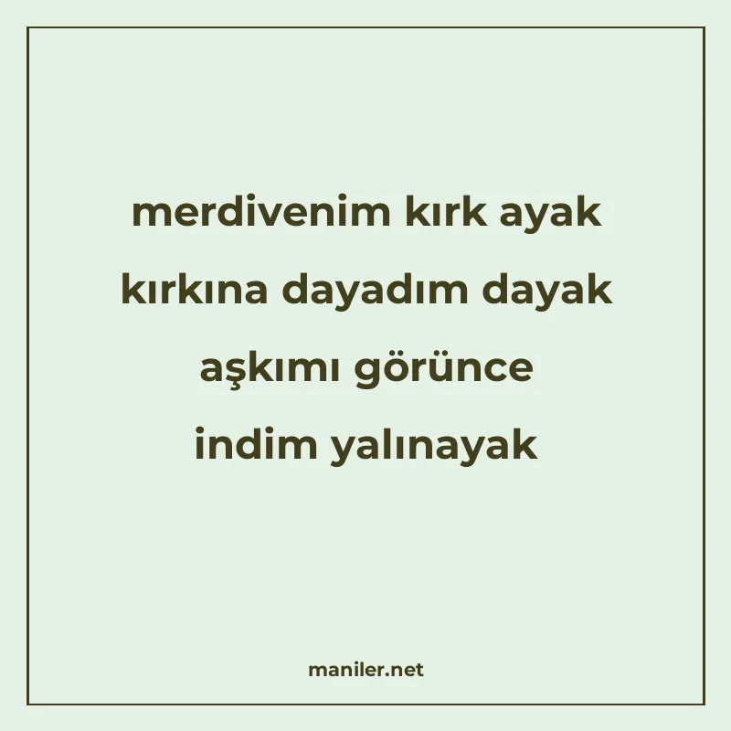 merdivenim kırk ayak kırkına dayadım dayak aşkımı görünce in manisi görseli