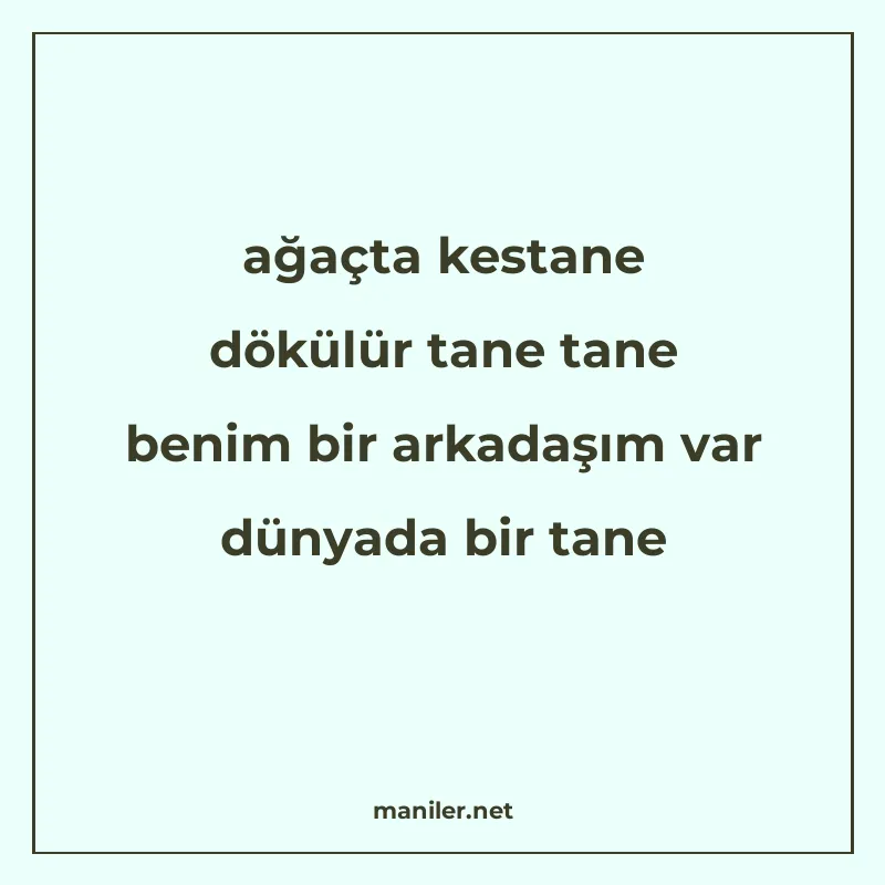 ağaçta kestane dökülür tane tane benim bir arkadaşım var dün manisi görseli