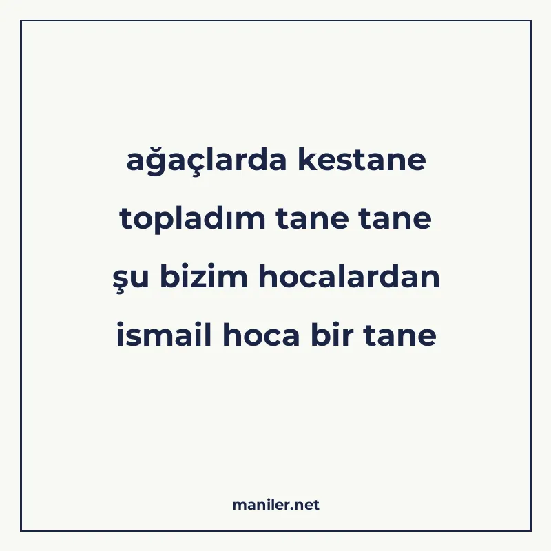 ağaçlarda kestane topladım tane tane şu bizim hocalardan ism manisi görseli