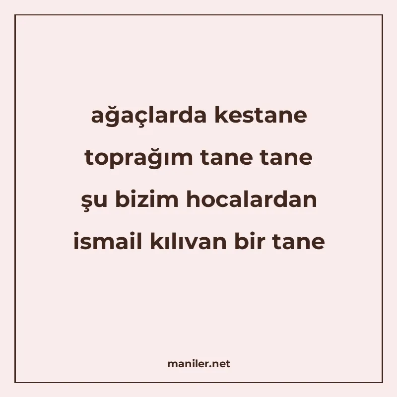 ağaçlarda kestane toprağım tane tane şu bizim hocalardan ism manisi görseli