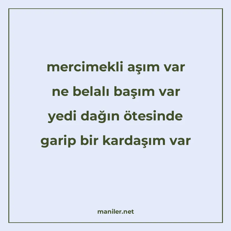 mercimekli aşım var ne belalı başım var yedi dağın ötesinde manisi görseli