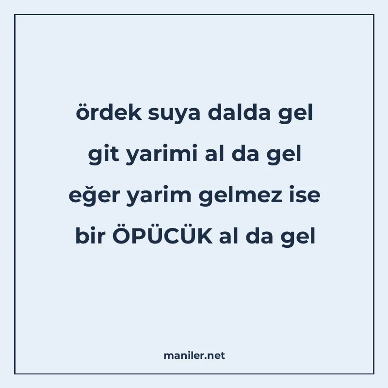 ördek suya dalda gel git yarimi al da gel eğer yarim gelmez manisi görseli