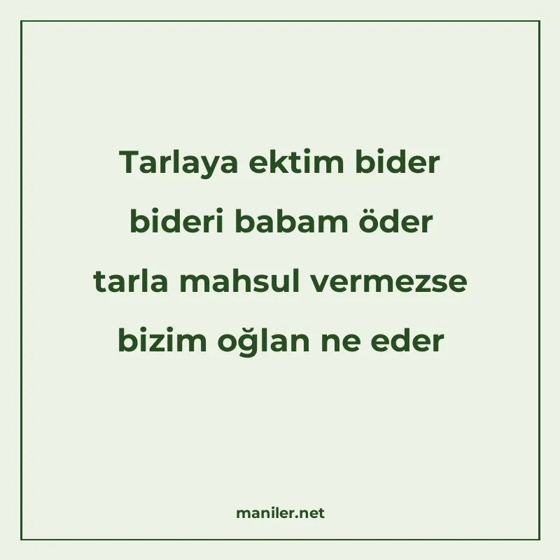 Tarlaya ektim bider bideri babam öder tarla mahsul vermezse manisi görseli