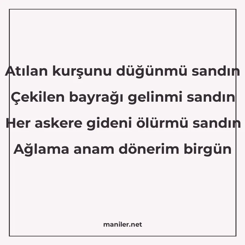 Atılan kurşunu düğünmü sandın Çekilen bayrağı gelinmi sandın manisi görseli