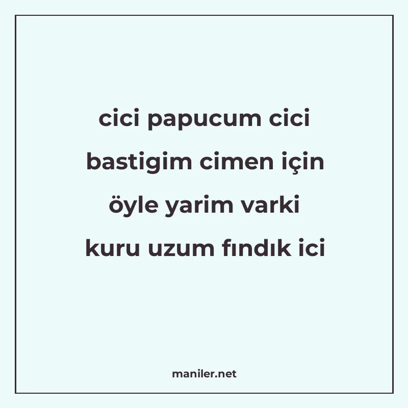 cici papucum cici bastigim cimen için öyle yarim varki kuru manisi görseli