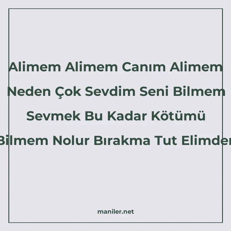 Alimem Alimem Canım Alimem Neden Çok Sevdim Seni Bilmem Sevm manisi görseli
