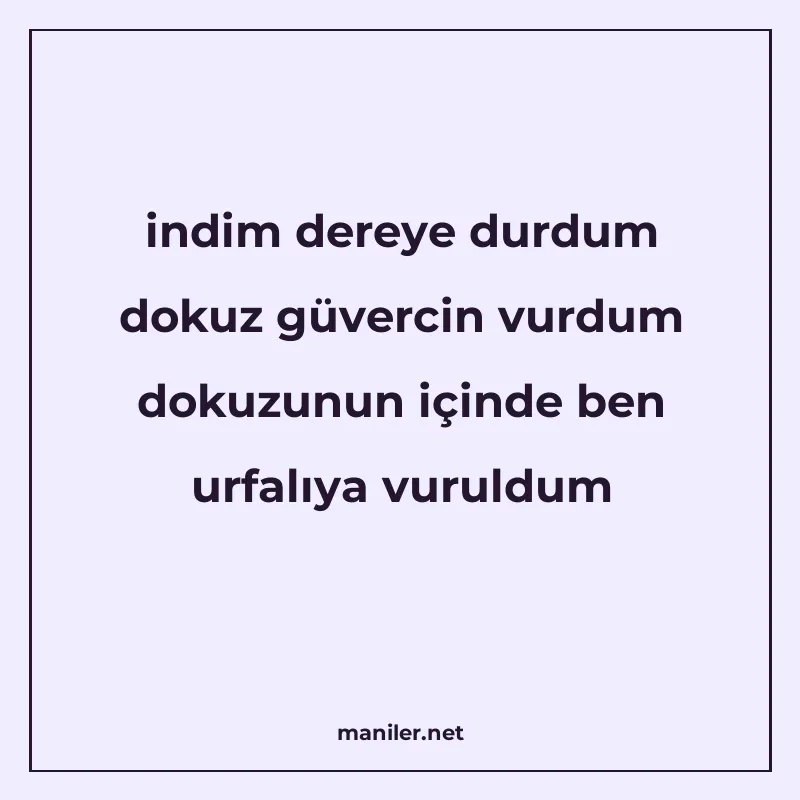 indim dereye durdum dokuz güvercin vurdum dokuzunun içinde b