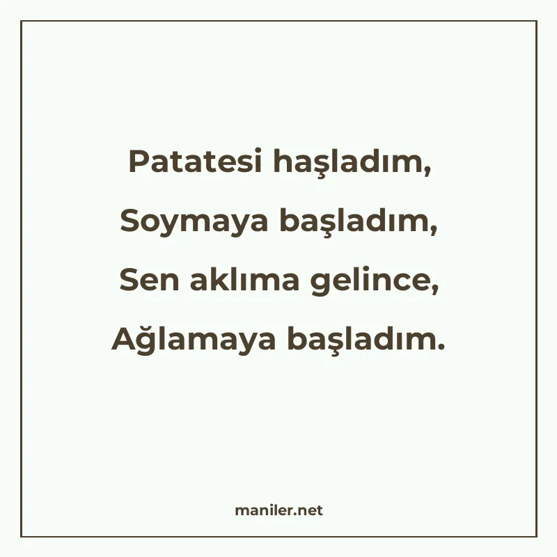 Patatesi haşladım, Soymaya başladım, Sen aklıma gelince, Ağl manisi görseli