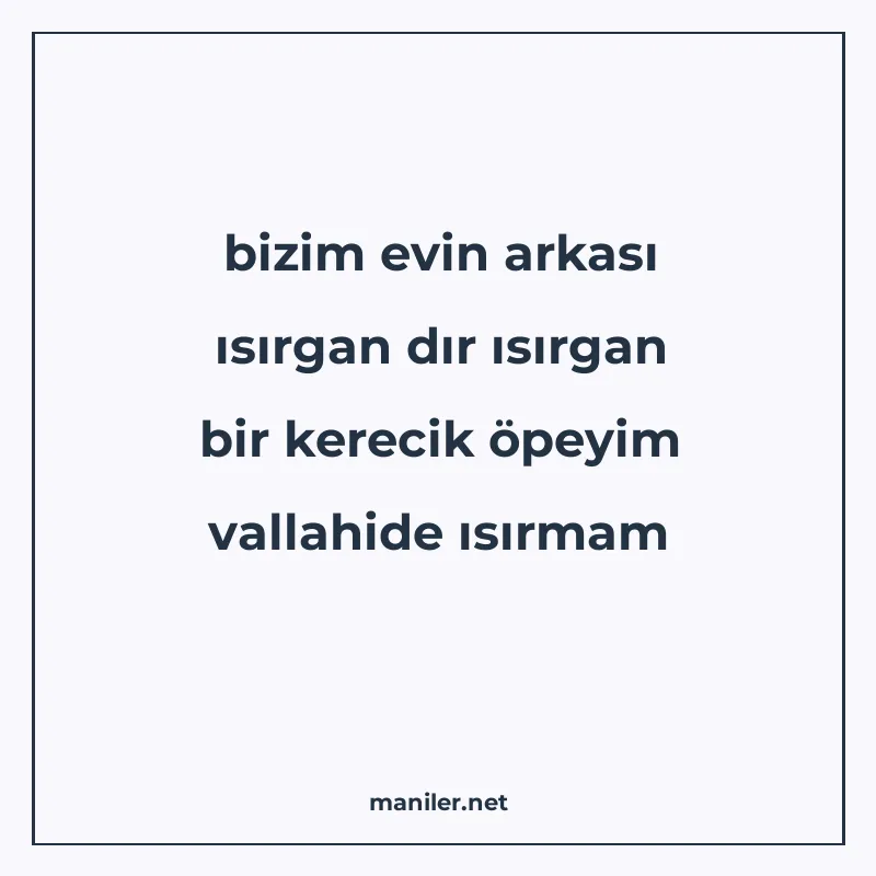 bizim evin arkası ısırgan dır ısırgan bir kerecik öpeyim val manisi görseli