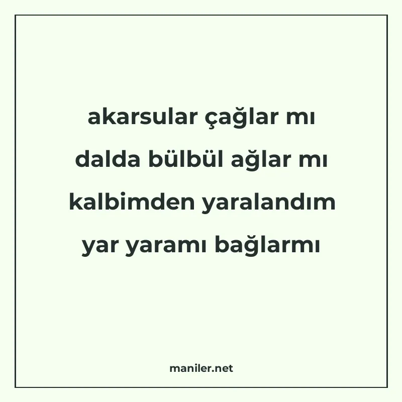 akarsular çağlar mı dalda bülbül ağlar mı kalbimden yaraland manisi görseli