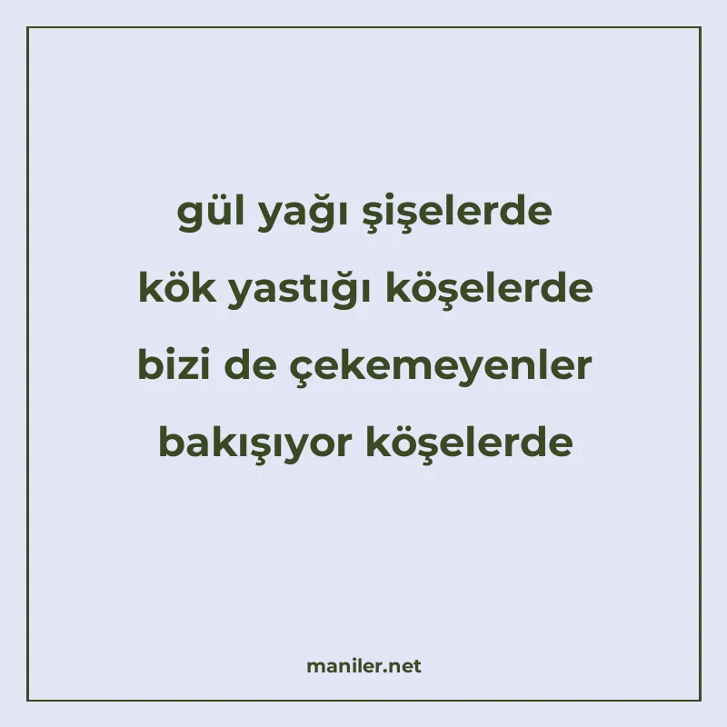 gül yağı şişelerde kök yastığı köşelerde bizi de çekemeyenle manisi görseli