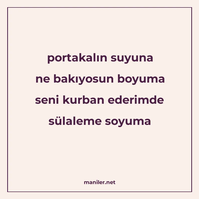 portakalın suyuna ne bakıyosun boyuma seni kurban ederimde s manisi görseli
