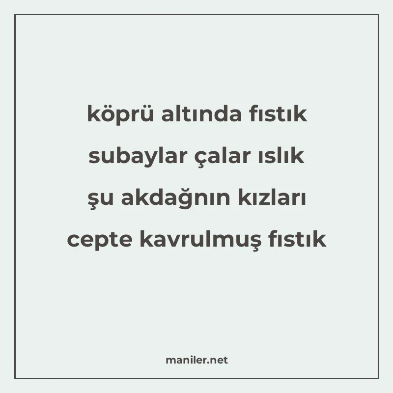 köprü altında fıstık subaylar çalar ıslık şu akdağnın kızlar manisi görseli