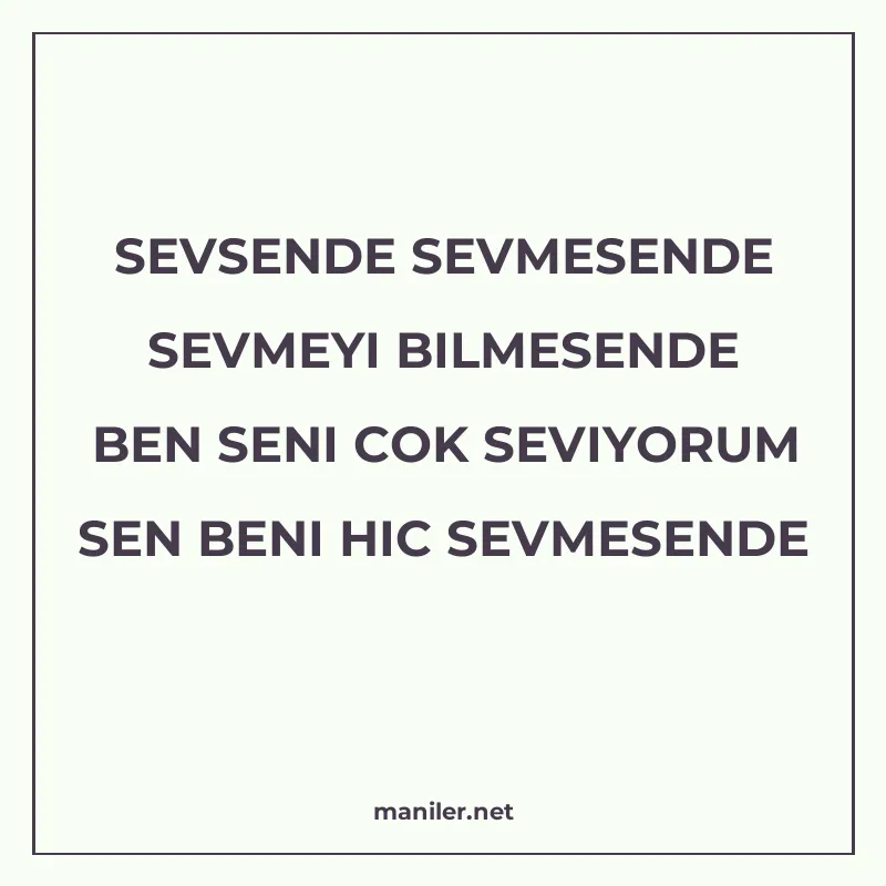 SEVSENDE SEVMESENDE SEVMEYI BILMESENDE BEN SENI COK SEVIYORU manisi görseli