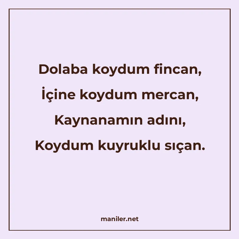 Dolaba koydum fincan, İçine koydum mercan, Kaynanamın adını manisi görseli