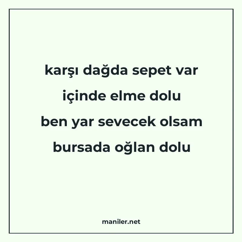karşı dağda sepet var içinde elme dolu ben yar sevecek olsam manisi görseli