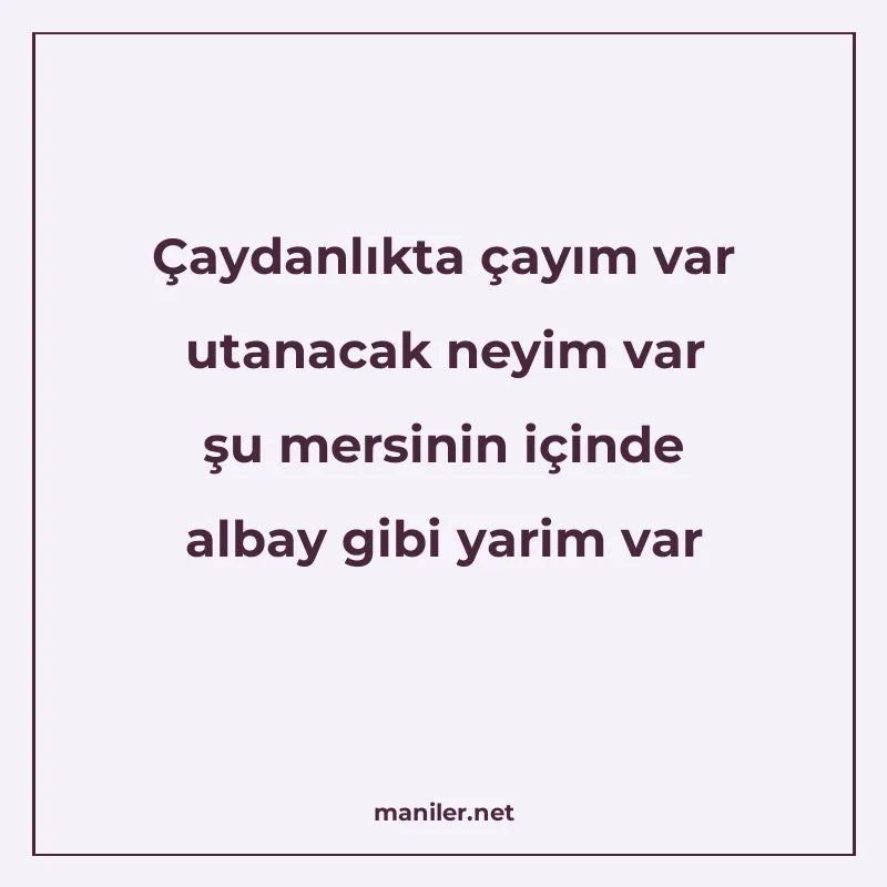 Çaydanlıkta çayım var utanacak neyim var şu mersinin içinde manisi görseli