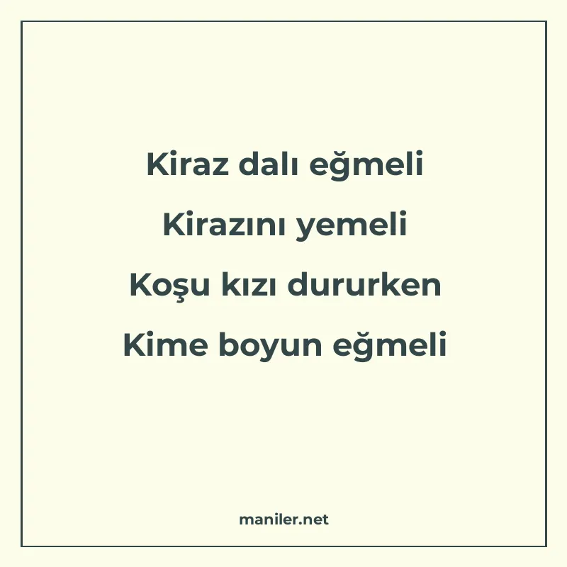 Kiraz dalı eğmeli Kirazını yemeli Koşu kızı dururken Kime bo manisi görseli