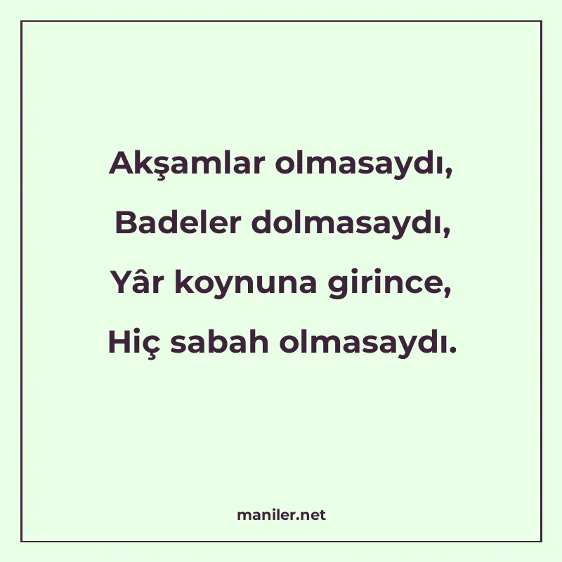 Akşamlar olmasaydı, Badeler dolmasaydı, Yâr koynuna girince manisi görseli