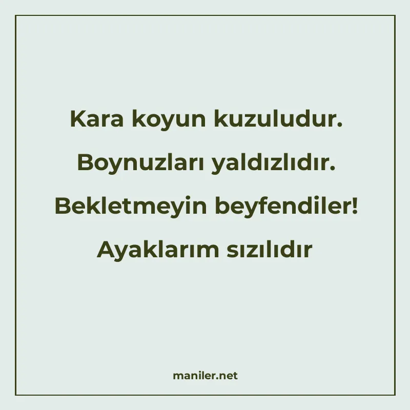 Kara koyun kuzuludur. Boynuzları yaldızlıdır. Bekletmeyin be manisi görseli