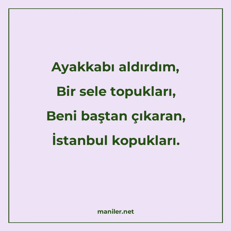 Ayakkabı aldırdım, Bir sele topukları, Beni baştan çıkaran manisi görseli