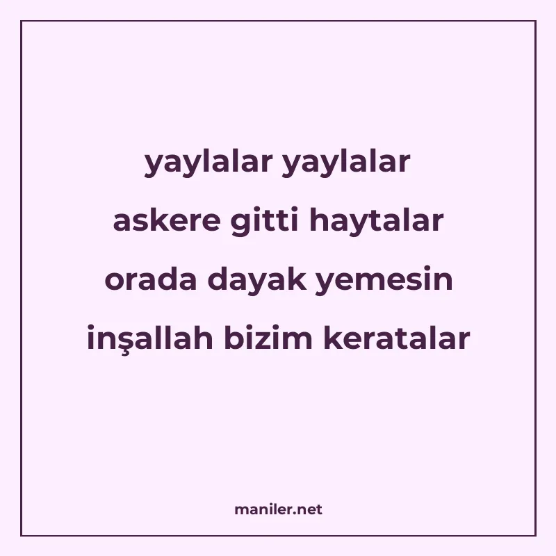 yaylalar yaylalar askere gitti haytalar orada dayak yemesin manisi görseli