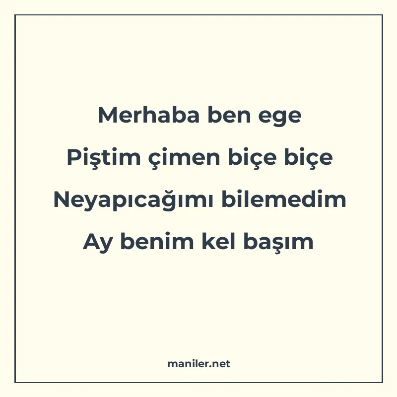 Merhaba ben ege Piştim çimen biçe biçe Neyapıcağımı bilemedi manisi görseli