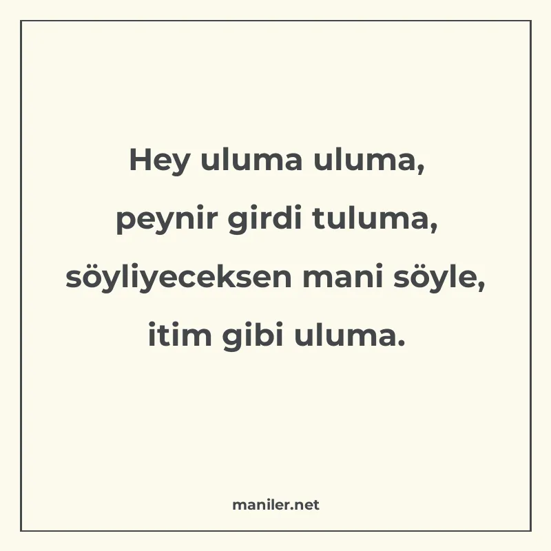 Hey uluma uluma, peynir girdi tuluma, söyliyeceksen mani söy manisi görseli