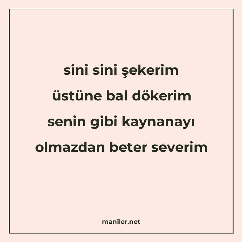 sini sini şekerim üstüne bal dökerim senin gibi kaynanayı ol manisi görseli