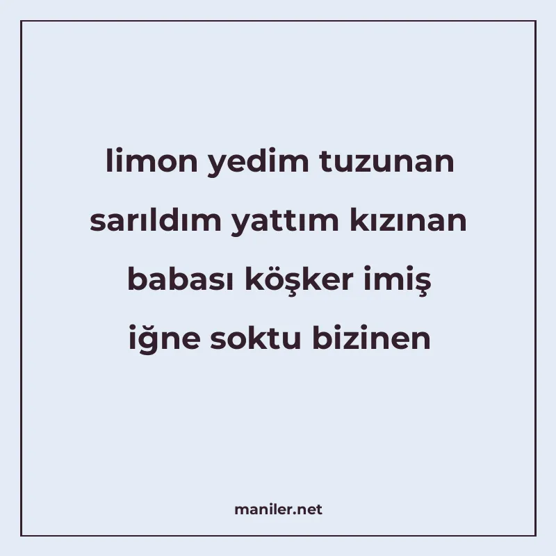 limon yedim tuzunan sarıldım yattım kızınan babası köşker im manisi görseli