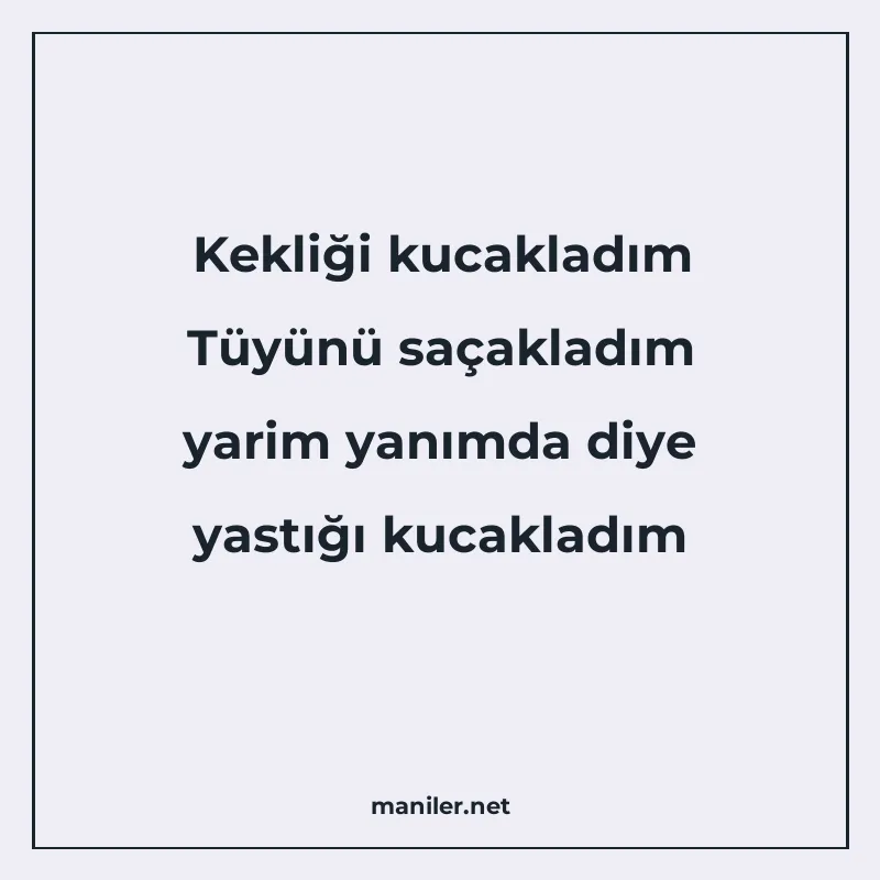 Kekliği kucakladım Tüyünü saçakladım yarim yanımda diye yast manisi görseli