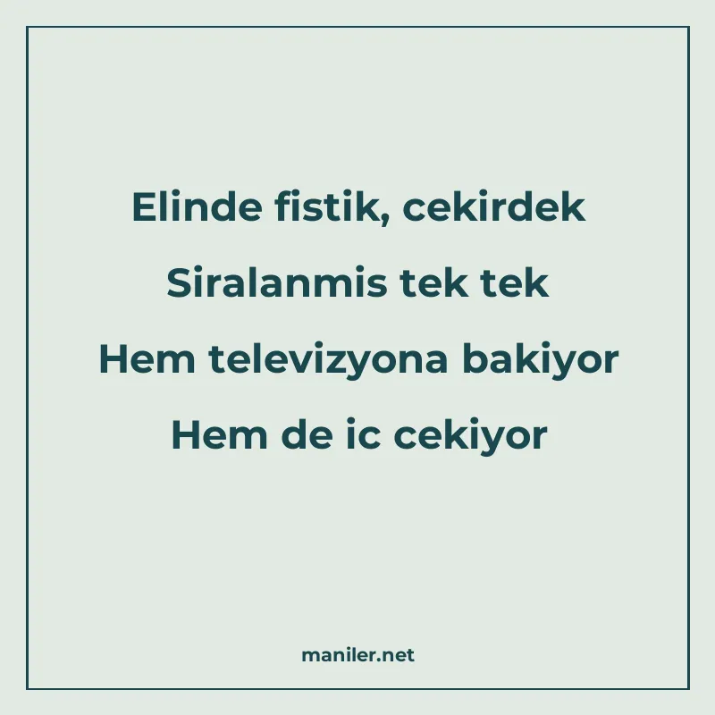 Elinde fistik, cekirdek Siralanmis tek tek Hem televizyona b manisi görseli