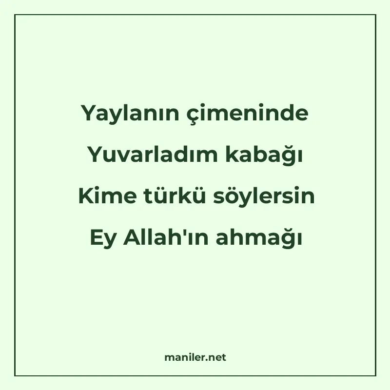 Yaylanın çimeninde Yuvarladım kabağı Kime türkü söylersin Ey manisi görseli