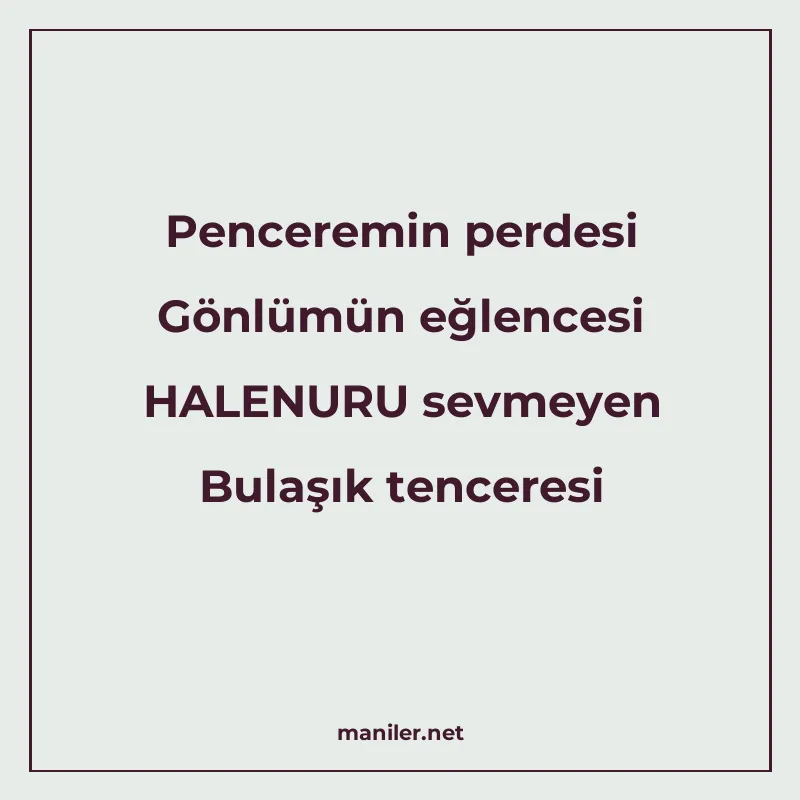 Penceremin perdesi Gönlümün eğlencesi HALENURU sevmeyen Bula manisi görseli