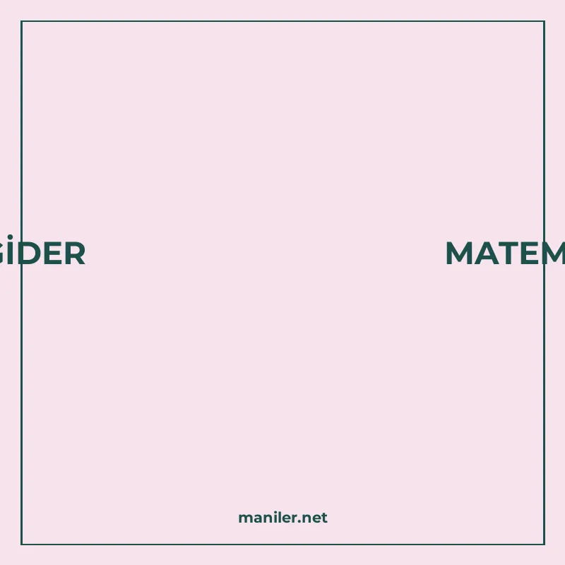 BU MATEMATİK OLUR BİTER ÖĞRENCİYİ YIKAR GİDER MATEMATİK BİR manisi görseli