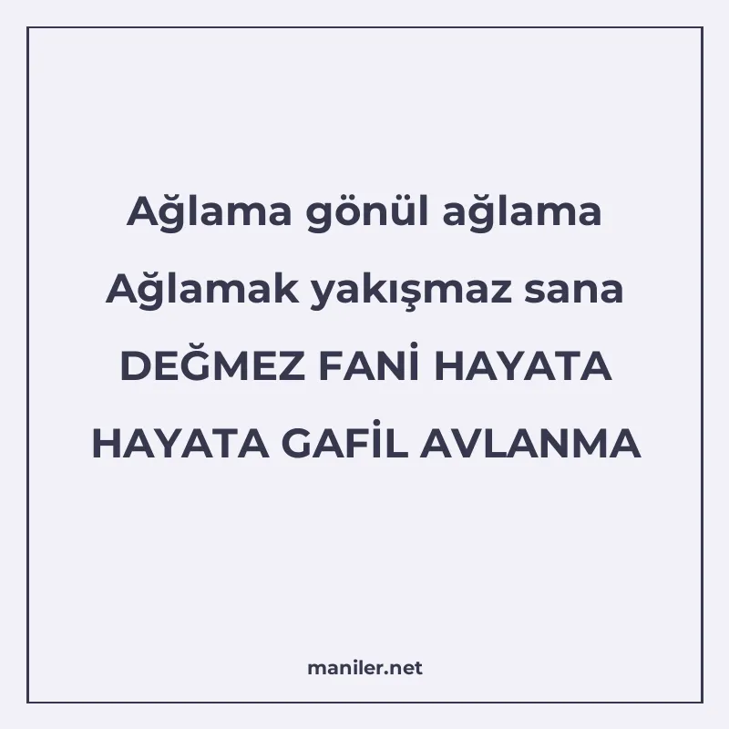 Ağlama gönül ağlama Ağlamak yakışmaz sana DEĞMEZ FANİ HAYATA manisi görseli