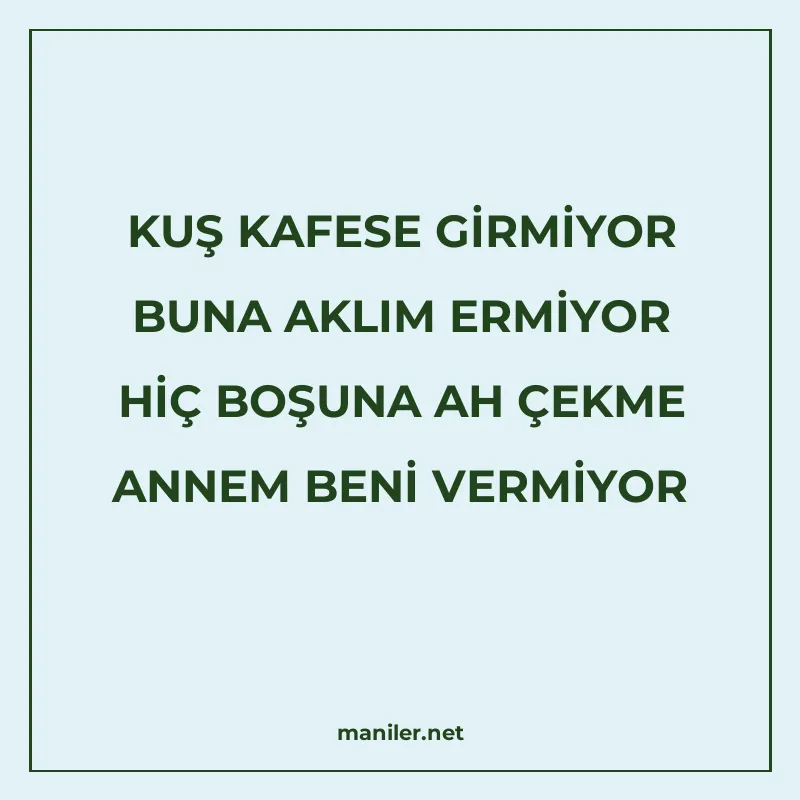 KUŞ KAFESE GİRMİYOR BUNA AKLIM ERMİYOR HİÇ BOŞUNA AH ÇEKME A manisi görseli