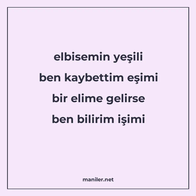 elbisemin yeşili ben kaybettim eşimi bir elime gelirse ben b manisi görseli