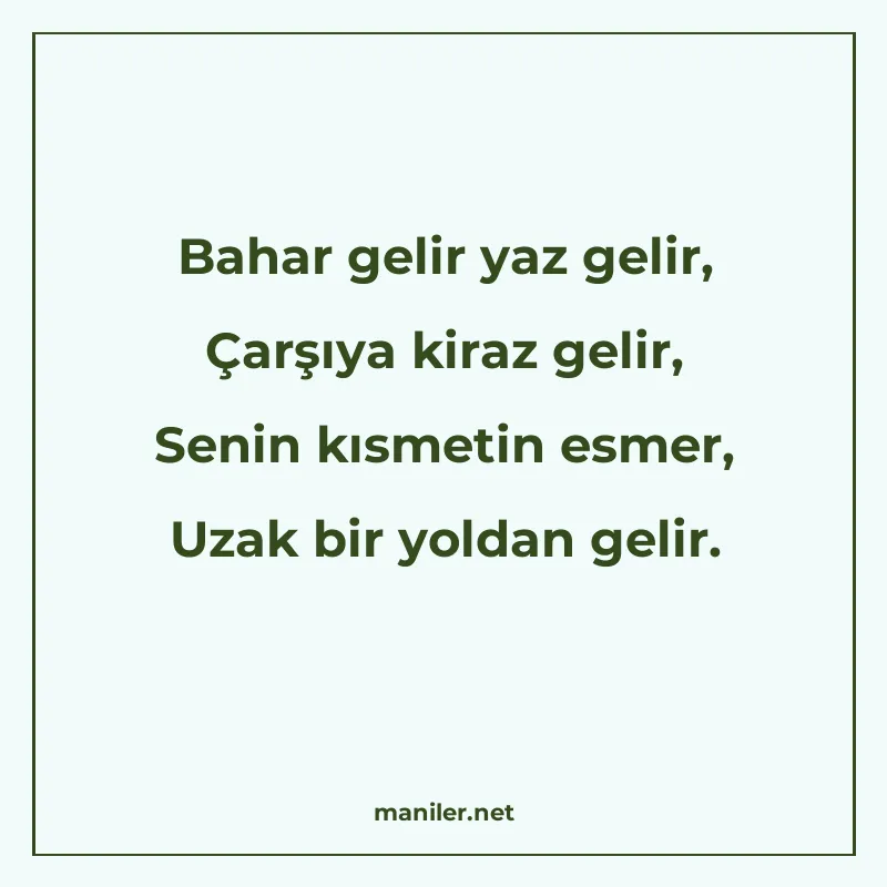 Bahar gelir yaz gelir, Çarşıya kiraz gelir, Senin kısmetin e manisi görseli