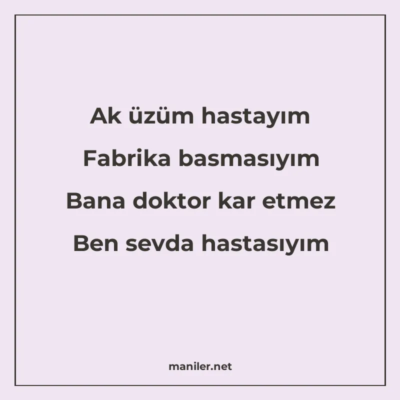 Ak üzüm hastayım Fabrika basmasıyım Bana doktor kar etmez Be manisi görseli