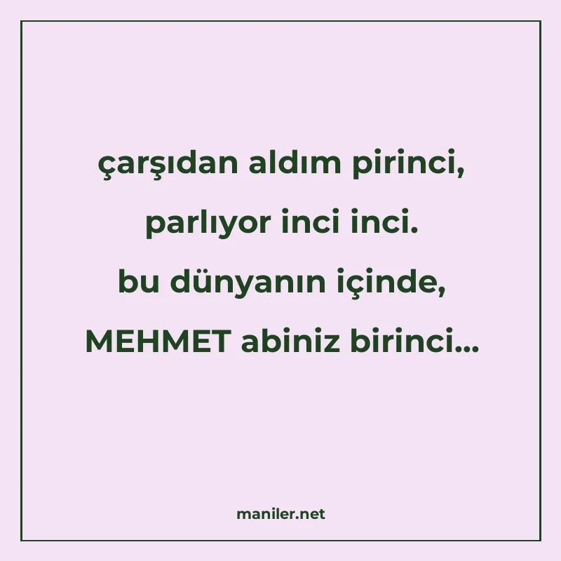 çarşıdan aldım pirinci, parlıyor inci inci. bu dünyanın için manisi görseli