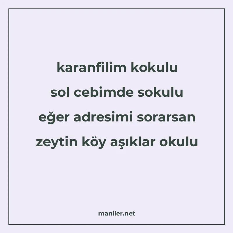 karanfilim kokulu sol cebimde sokulu eğer adresimi sorarsan manisi görseli